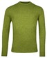 Baileys Crew Neck Lambswool Single Knit Trui Grasgroen