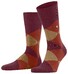 Burlington Clyde Check Socks Wine