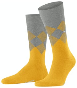 Burlington Hampstead Socks Solar