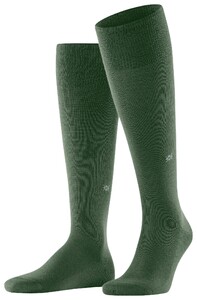 Burlington Leeds Socks Asparagus