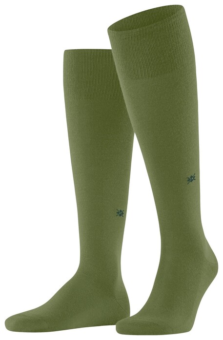 Burlington Leeds Socks Cactus