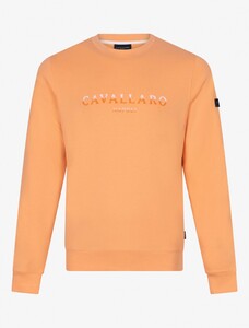 Cavallaro Napoli Assagio Round Neck Sweat Fine Color Gradient Logo Cotton Stretch Trui Coral
