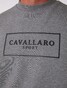 Cavallaro Napoli Ciro Sport Sweat Trui Grijs Melange