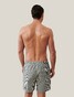 Cavallaro Napoli Cosmio Swim Shorts Donker Groen