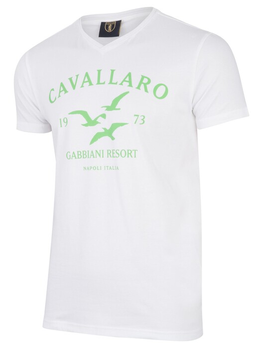 Cavallaro Napoli Gabbiani Tee T-Shirt Licht Groen