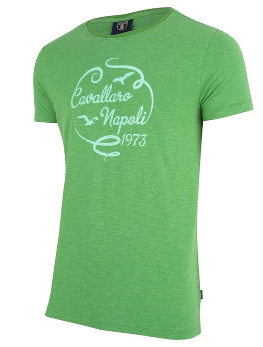 Cavallaro Napoli Lavato Tee T-Shirt Green
