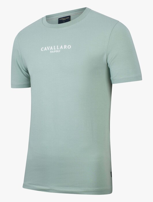 Cavallaro Napoli Umberto Tee Uni Stretch Cotton Blend T-Shirt Licht Groen