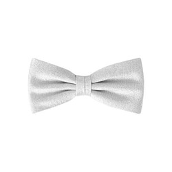 Daspartout Lurex Strik Bow Tie Silver Bright