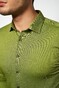 Desoto Kent Piqué Optics Jersey Overhemd Fel Groen