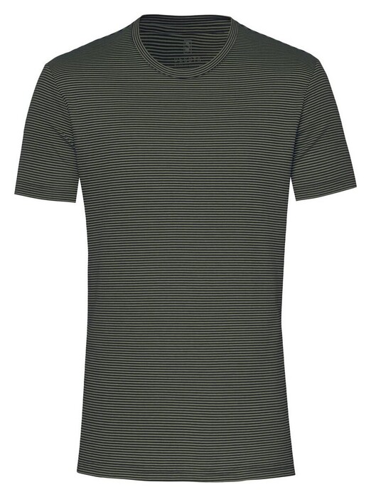 Desoto Roundneck Stripe T-Shirt Groen