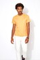 Desoto Uni Roundneck T-Shirt Sunflower