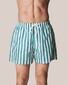 Eton Striped Swim Shorts Green