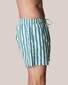 Eton Striped Swim Shorts Groen