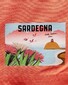 Eton Uni Sardinian Postcard Detail Swim Short Fine Orange