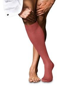 Falke No. 10 Egyptian Karnak Cotton Kniekous Knee-Highs Lobster