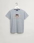 Gant Archive Shield Short Sleeve Shirt T-Shirt Grijs Melange