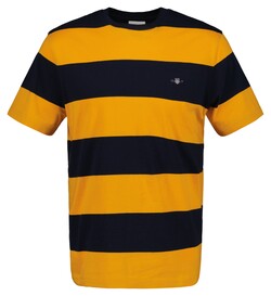 Gant Barstripe Short Sleeve Crew Neck T-Shirt Medal Yellow