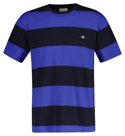 Gant Barstripe Short Sleeve Crew Neck T-Shirt Royal Blue