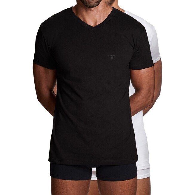 Gant Basic 2Pack V-Neck T-Shirt Zwart-Wit