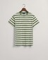 Gant Bold Stripe Crew Neck T-Shirt Kalamata Green