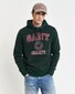 Gant Champs Graphic Sweat Hoodie Pullover Tartan Green