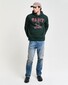 Gant Champs Graphic Sweat Hoodie Pullover Tartan Green