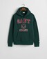 Gant Champs Graphic Sweat Hoodie Pullover Tartan Green