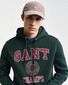 Gant Champs Graphic Sweat Hoodie Pullover Tartan Green