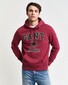 Gant Champs Graphic Sweat Hoodie Trui Rich Wine