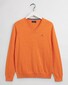 Gant Classic Cotton V-Neck Pullover Russet Orange Melange