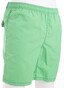 Gant Contrast Stitch Trunk Swimwear Green