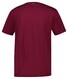 Gant Crest Graphic Champs Crew Neck T-Shirt Rich Wine