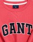 Gant Graphic T-Shirt Watermeloen Rood