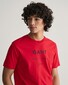 Gant Organic Cotton Logo Pattern 1949 American Sportswear T-Shirt Ruby Red