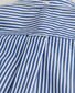 Gant Poplin Stripe Button Down Overhemd College Blue