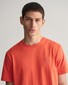 Gant Regular Uni Fine Shield Embroidery T-Shirt Burnt Orange