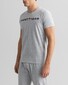 Gant Retro Shield C-Neck T-Shirt Light Grey