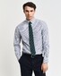 Gant Striped Poplin Button Down Overhemd Clear Sky