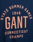 Gant Summer Graphic T-Shirt Insignia Blue