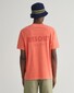 Gant Sunfaded Graphic Logo Short Sleeve T-Shirt Burnt Orange