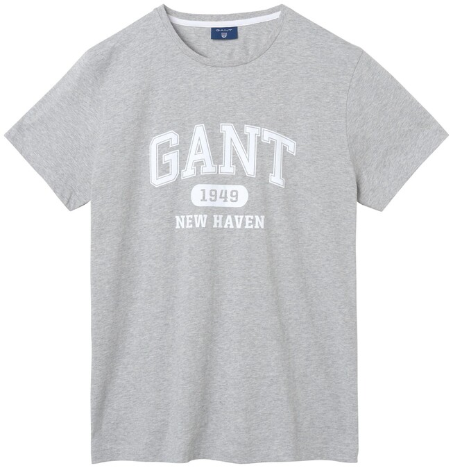 Gant The Summer Logo Short Sleeve T-Shirt Licht Grijs