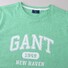 Gant The Summer Logo Short Sleeve T-Shirt Light Pistage Melange
