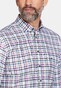 Giordano Ivy Button Down Twill Multi Mini Check Overhemd Paars-Multi