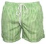 Gran Sasso Striped Swim Short Green