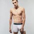 Lacoste 3Pack Contrast Long Briefs Ondermode Black-White-Silver