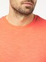 Pierre Cardin Denim Academy Fine Striped T-Shirt Oranje