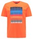 Pierre Cardin Fantasy Stripe Print Round Neck T-Shirt Bittersweet Orange