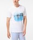 Pierre Cardin T-Shirt Logo White-Blue