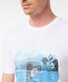 Pierre Cardin T-Shirt Logo Wit-Blauw