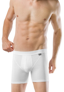 Schiesser Authentic Shorts 2Pack Underwear White